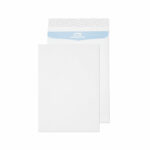 Enduro Security E4 Gusset Envelope