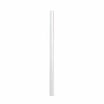 Durable A4 6mm SPINEBAR Transparent (Pack of 50) 2931/19