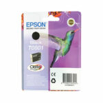 Epson T0801 Photographic Ink Cartridge Claria Black C13T08014011