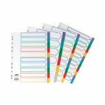 Concord 10-Part Index Polypropylene Multicoloured A4 06901