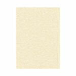 Decadry Parchment A4 Letterhead Paper 95gsm Champagne (Pack of 100) PCL1601