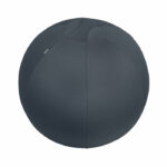 Leitz Ergo Cosy Active Sitting Ball Velvet Grey 52790089