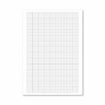 Loose Leaf Graph Paper A4 (500 Pack) 100103410