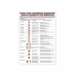 Health Hazards in The Workplace Poster 420x600mm PG23